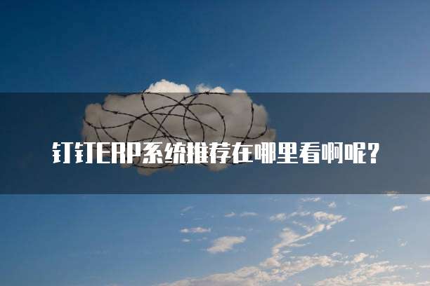钉钉ERP系统推荐在哪里看啊呢?