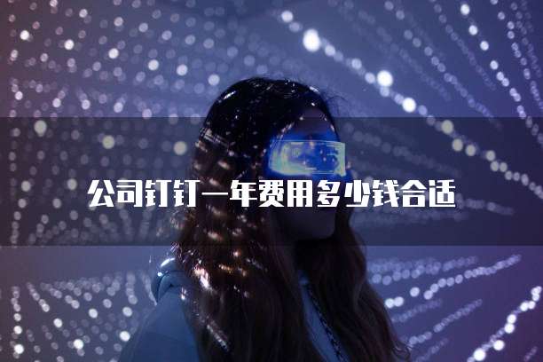 公司钉钉一年费用多少钱合适