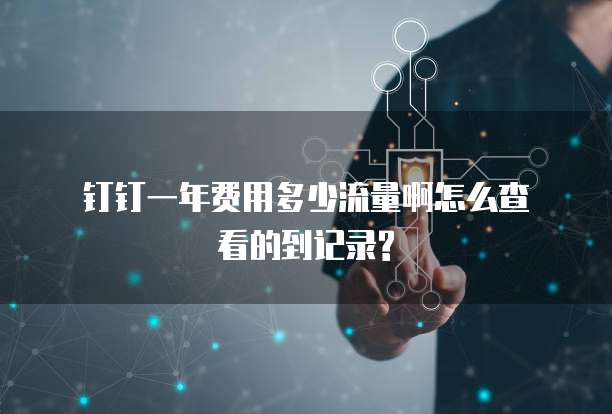 钉钉一年费用多少流量啊怎么查看的到记录?