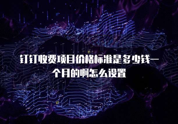 钉钉收费项目价格标准是多少钱一个月的啊怎么设置