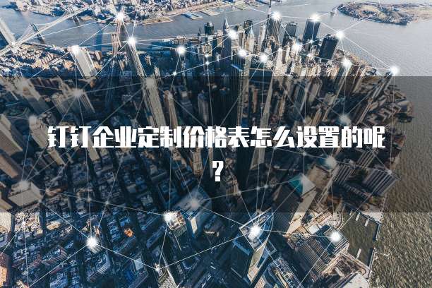 钉钉企业定制价格表怎么设置的呢？