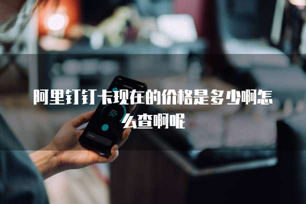 阿里钉钉卡现在的价格是多少啊怎么查啊呢