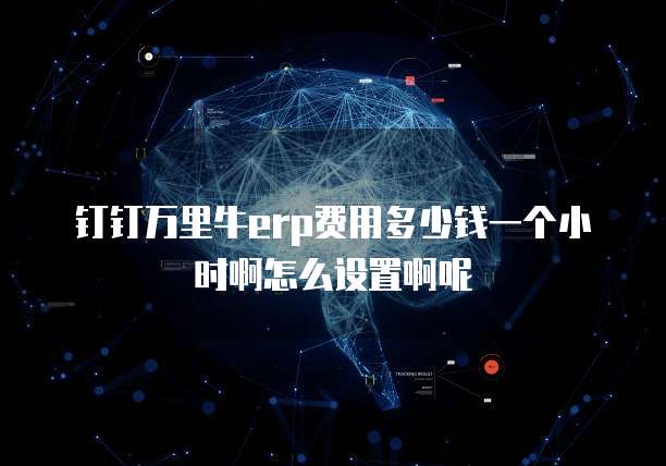 钉钉万里牛erp费用多少钱一个小时啊怎么设置啊呢