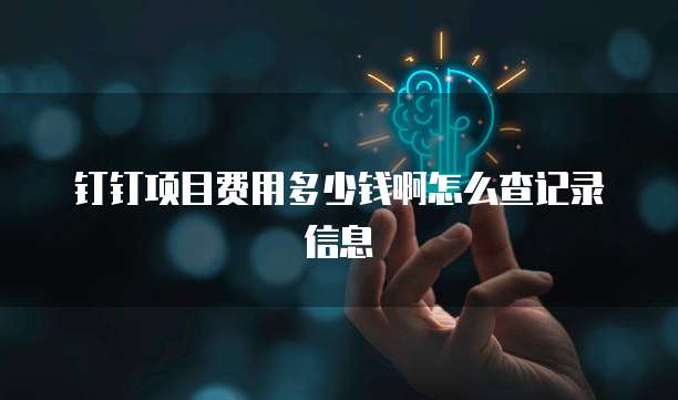 钉钉项目费用多少钱啊怎么查记录信息