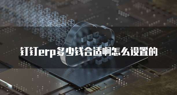 钉钉erp多少钱合适啊怎么设置的