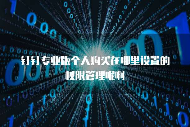 钉钉专业版个人购买在哪里设置的权限管理呢啊