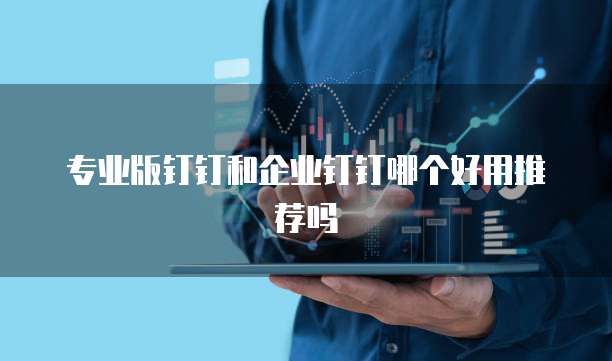 专业版钉钉和企业钉钉哪个好用推荐吗