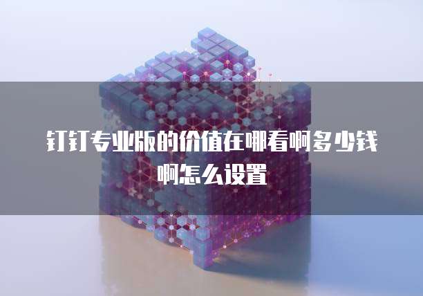 钉钉专业版的价值在哪看啊多少钱啊怎么设置