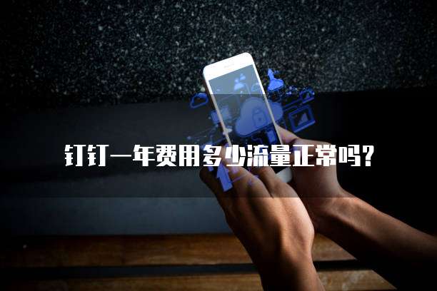 钉钉一年费用多少流量正常吗?