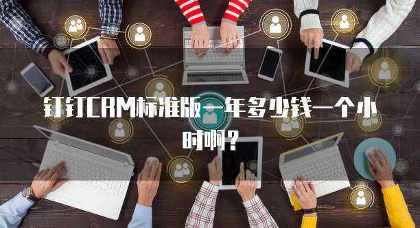 钉钉CRM标准版一年多少钱一个小时啊?