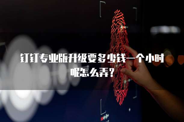 钉钉专业版升级要多少钱一个小时呢怎么弄?
