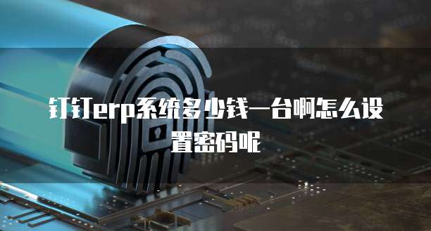 钉钉erp系统多少钱一台啊怎么设置密码呢