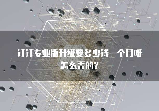 钉钉专业版升级要多少钱一个月呀怎么弄的?