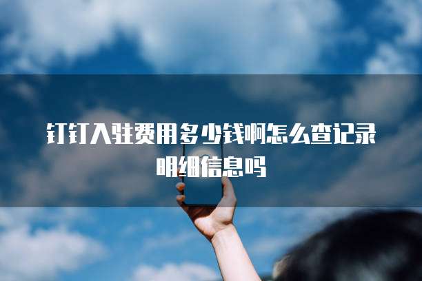钉钉入驻费用多少钱啊怎么查记录明细信息吗