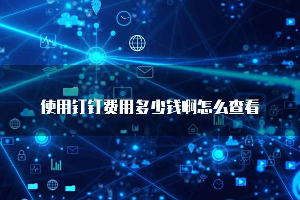 使用钉钉费用多少钱啊怎么查看