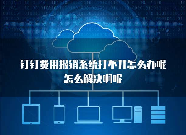 钉钉费用报销系统打不开怎么办呢怎么解决啊呢