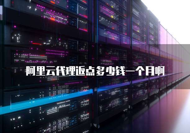 阿里云代理返点多少钱一个月啊