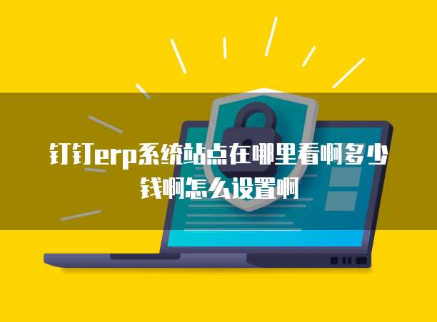 钉钉erp系统站点在哪里看啊多少钱啊怎么设置啊