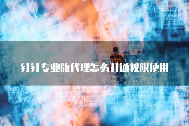 钉钉专业版代理怎么开通权限使用