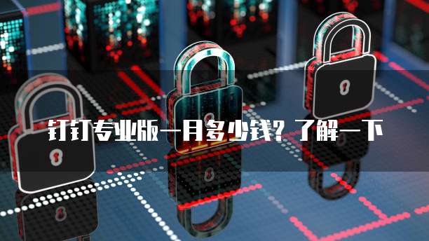 钉钉专业版一月多少钱?了解一下