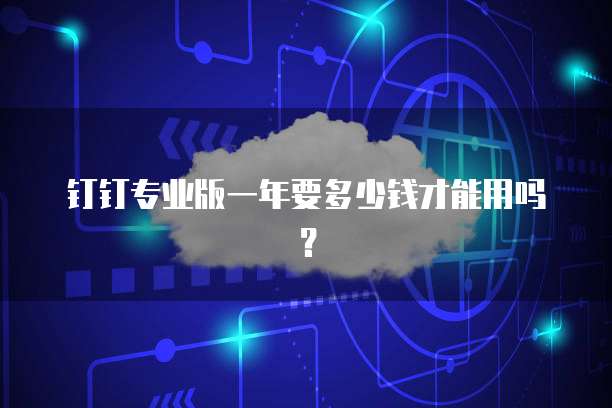 钉钉专业版一年要多少钱才能用吗？