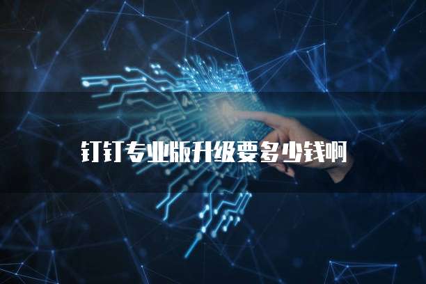 钉钉专业版升级要多少钱啊