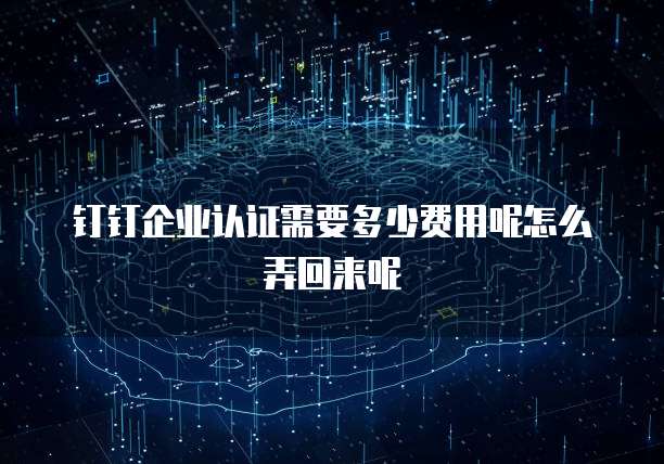 钉钉企业认证需要多少费用呢怎么弄回来呢