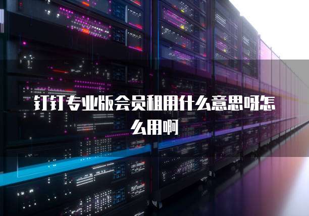 钉钉专业版会员租用什么意思呀怎么用啊