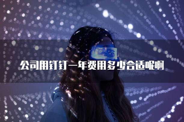 公司用钉钉一年费用多少合适呢啊