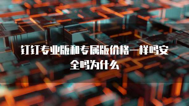 钉钉专业版和专属版价格一样吗安全吗为什么