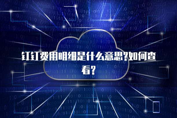 钉钉费用明细是什么意思?如何查看?