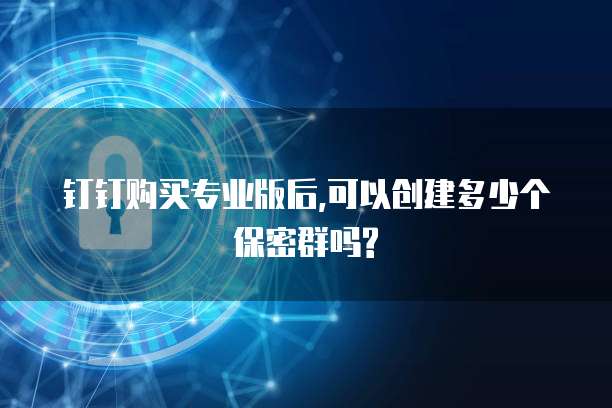 钉钉购买专业版后,可以创建多少个保密群吗?