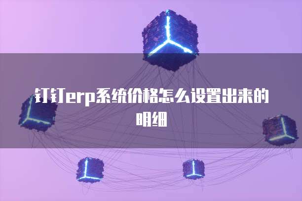 钉钉erp系统价格怎么设置出来的明细