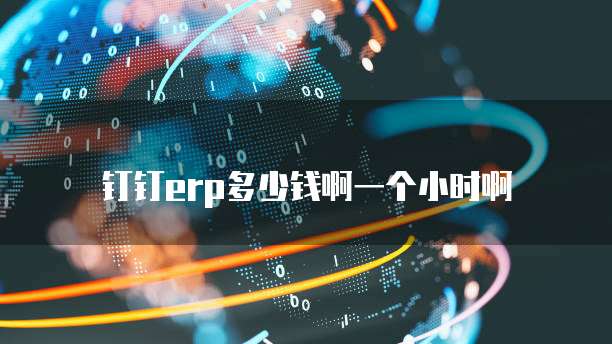 钉钉erp多少钱啊一个小时啊