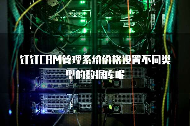 钉钉CRM管理系统价格设置不同类型的数据库呢