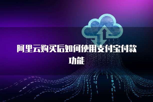 阿里云购买后如何使用支付宝付款功能