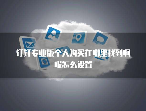 钉钉专业版个人购买在哪里找到啊呢怎么设置