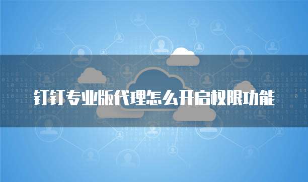 钉钉专业版代理怎么开启权限功能