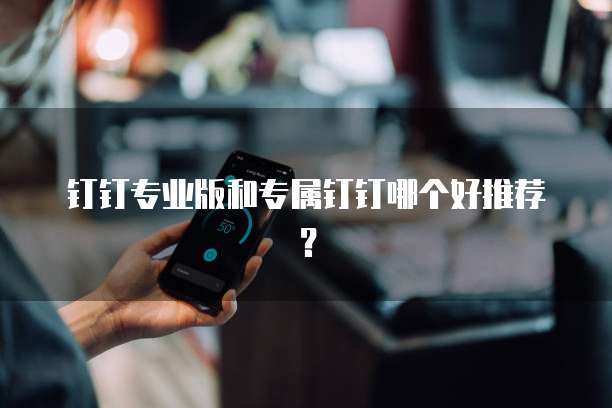 钉钉专业版和专属钉钉哪个好推荐？