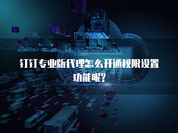 钉钉专业版代理怎么开通权限设置功能呢?