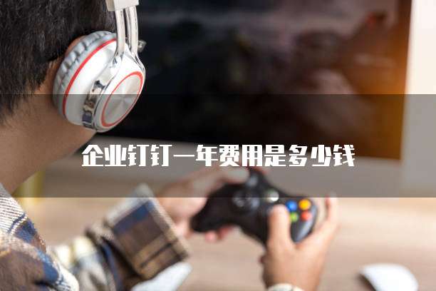 企业钉钉一年费用是多少钱