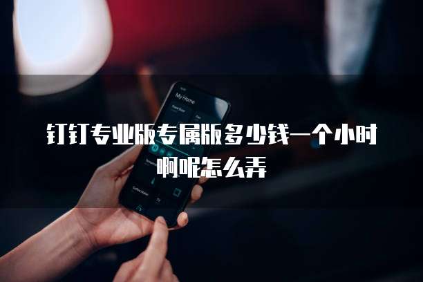 钉钉专业版专属版多少钱一个小时啊呢怎么弄