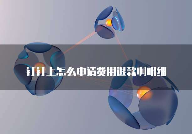 钉钉上怎么申请费用退款啊明细
