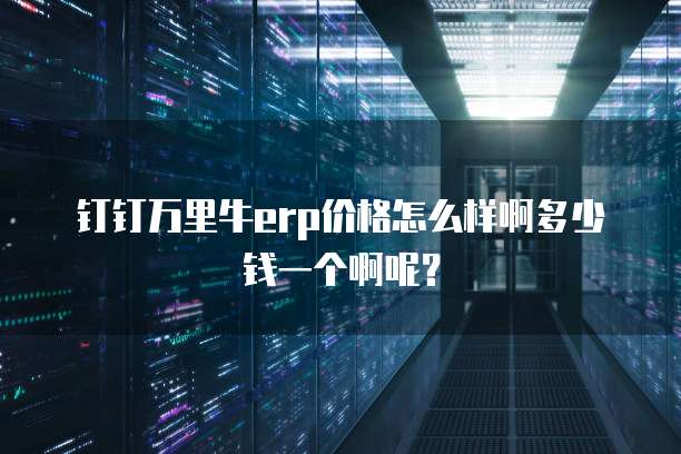 钉钉万里牛erp价格怎么样啊多少钱一个啊呢?
