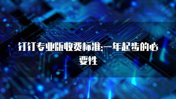钉钉专业版收费标准:一年起步的必要性