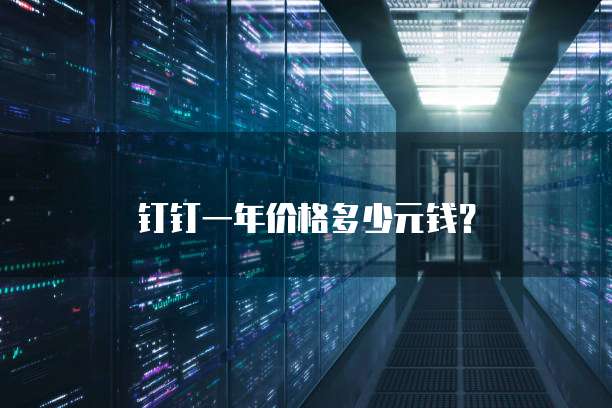 钉钉一年价格多少元钱?