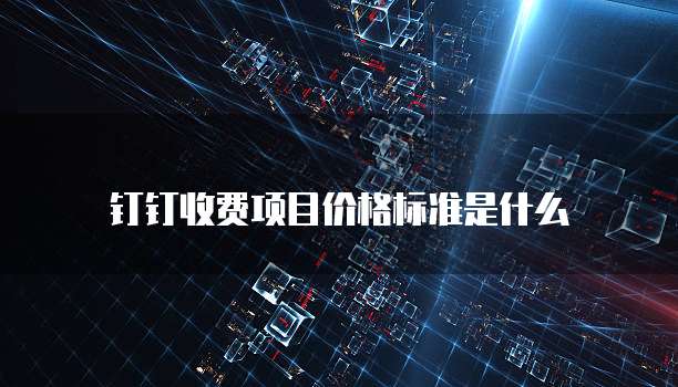 钉钉收费项目价格标准是什么