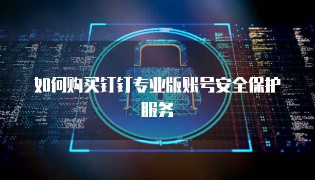如何购买钉钉专业版账号安全保护服务