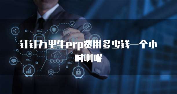 钉钉万里牛erp费用多少钱一个小时啊呢
