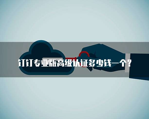 钉钉专业版高级认证多少钱一个？